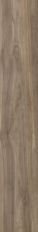 Harper Taupe 10 x 60